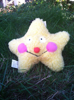 Star - Zanies Plush Dog Toy